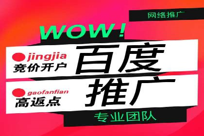 百度优化推广案例：快速提升网站排名